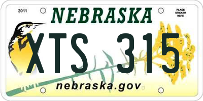 NE license plate XTS315