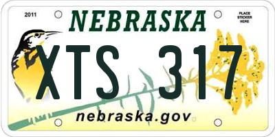 NE license plate XTS317