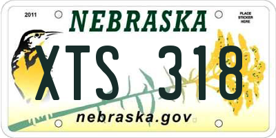 NE license plate XTS318