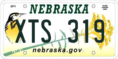 NE license plate XTS319