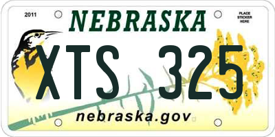 NE license plate XTS325
