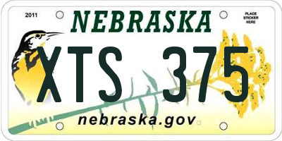 NE license plate XTS375