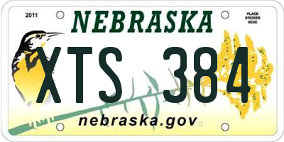 NE license plate XTS384