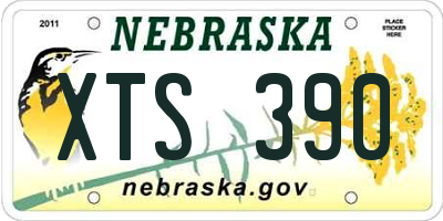 NE license plate XTS390