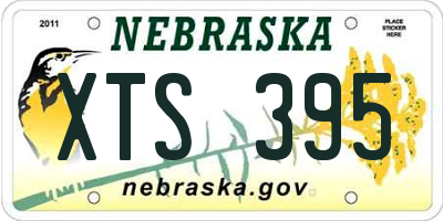 NE license plate XTS395