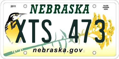 NE license plate XTS473