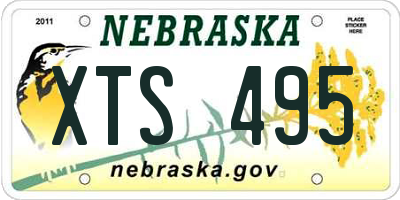 NE license plate XTS495