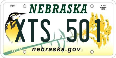 NE license plate XTS501