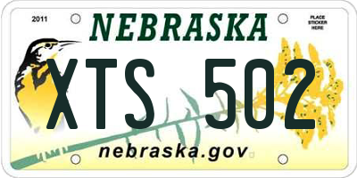 NE license plate XTS502