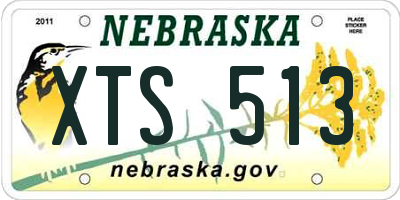 NE license plate XTS513