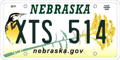 NE license plate XTS514