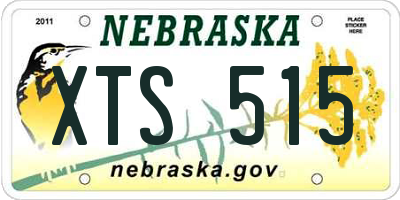 NE license plate XTS515