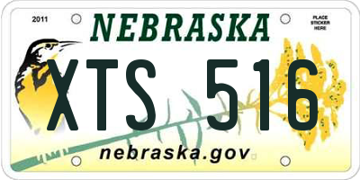 NE license plate XTS516