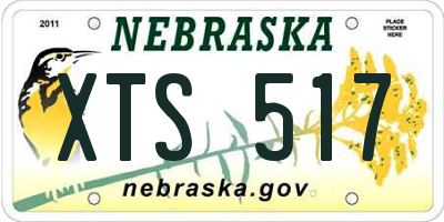 NE license plate XTS517