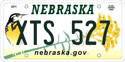 NE license plate XTS527