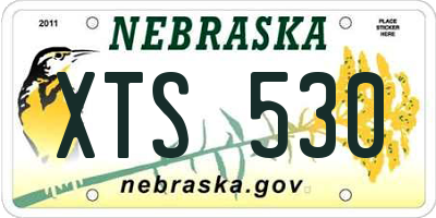 NE license plate XTS530