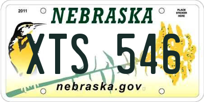 NE license plate XTS546