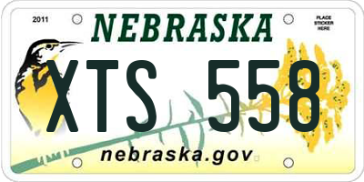 NE license plate XTS558