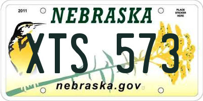 NE license plate XTS573