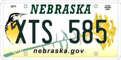 NE license plate XTS585