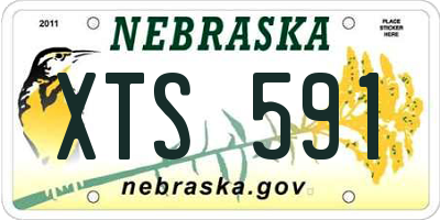 NE license plate XTS591