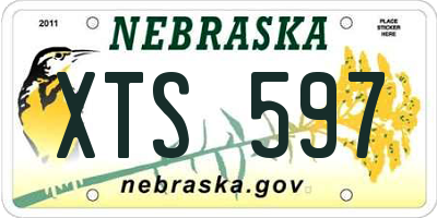 NE license plate XTS597