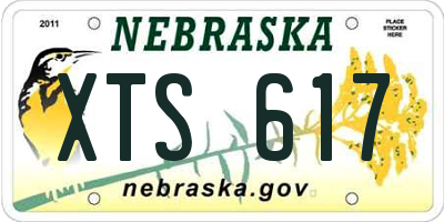 NE license plate XTS617