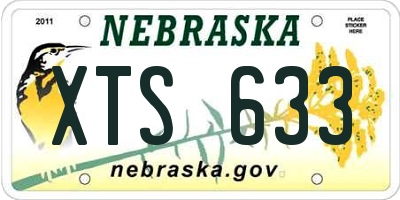 NE license plate XTS633