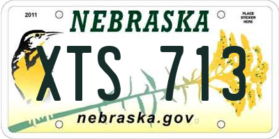 NE license plate XTS713