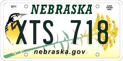 NE license plate XTS718