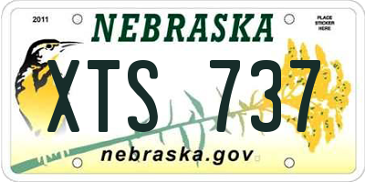 NE license plate XTS737