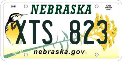 NE license plate XTS823