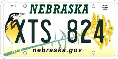 NE license plate XTS824