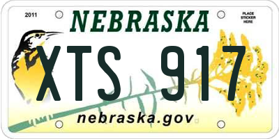 NE license plate XTS917