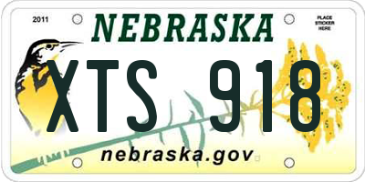 NE license plate XTS918