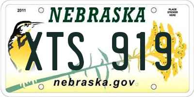 NE license plate XTS919