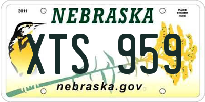 NE license plate XTS959