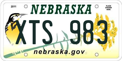 NE license plate XTS983