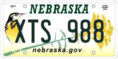 NE license plate XTS988