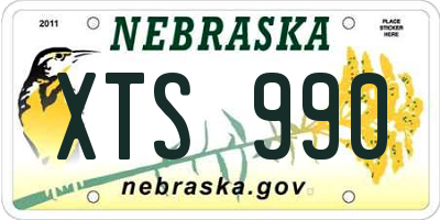 NE license plate XTS990