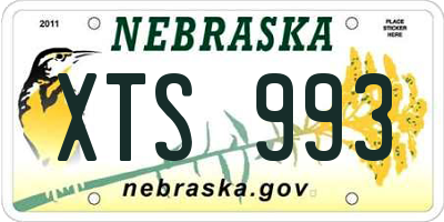 NE license plate XTS993