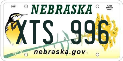 NE license plate XTS996