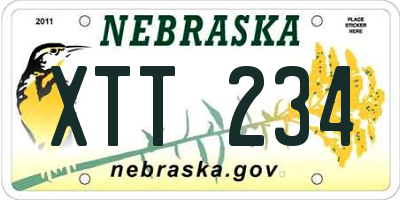 NE license plate XTT234
