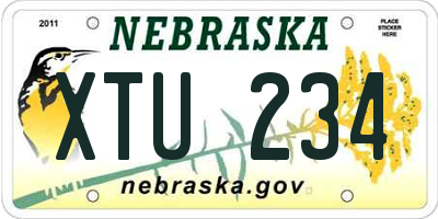 NE license plate XTU234