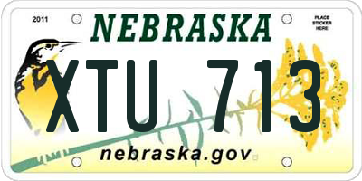 NE license plate XTU713