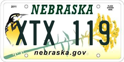 NE license plate XTX119
