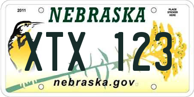 NE license plate XTX123