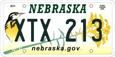 NE license plate XTX213