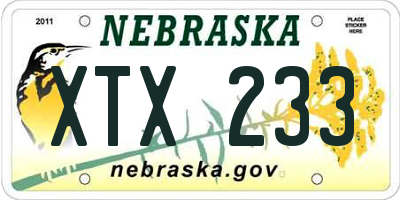 NE license plate XTX233