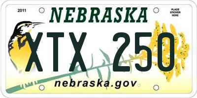 NE license plate XTX250